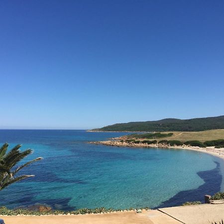 Ajaccio Magnifique T2 45M2 Neuf 5 Personnes Clim Wifi Stationnement Gratuit Centre Ville Plage A 300M エクステリア 写真