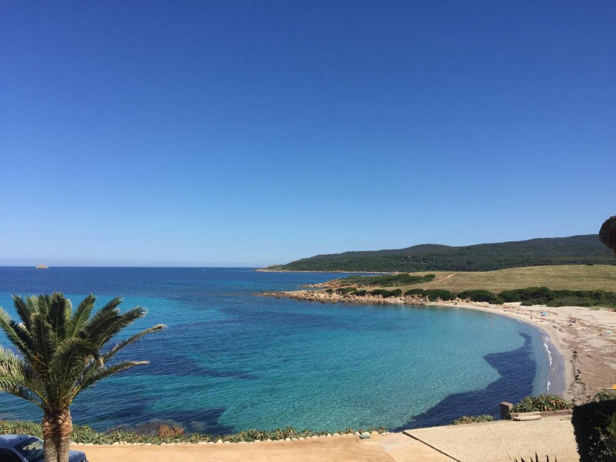 Ajaccio Magnifique T2 45M2 Neuf 5 Personnes Clim Wifi Stationnement Gratuit Centre Ville Plage A 300M エクステリア 写真